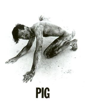 PIG Flyer